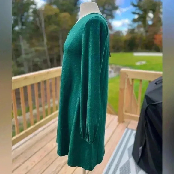 WVN Serena Long Sleeve Green Shift Dress Size Small NWT - Picture 8 of 11